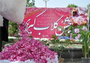 برگزاری جشنواره گلاب گیری در منطقه دودانگه ساری