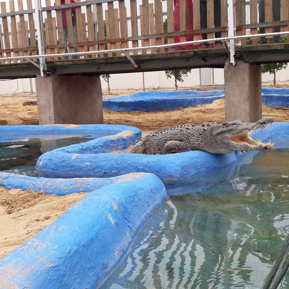 توسعه پرورش هیولای سودمند