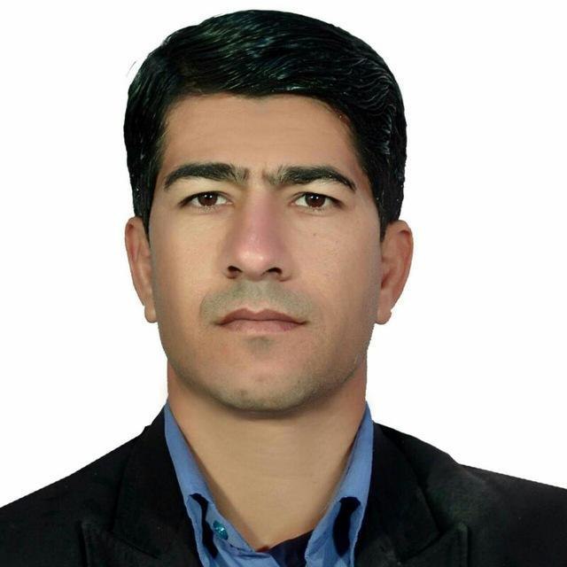 با یک گُل هم بهار می&zwnj;شود