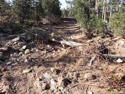 خسارت سیل به باغات روستای کنگ خسارت سیل به باغات روستای کنگ