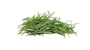 ّگیاه رزماری؛ معجزه طبیعت