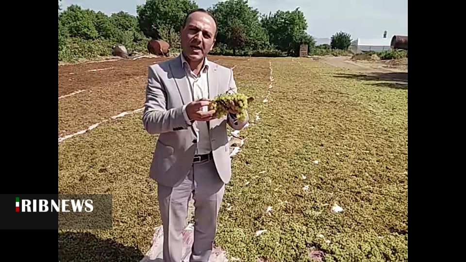 کشاورزی به وقت تاب آوری