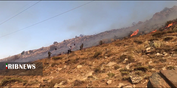 آتش در کمین  مزارع گندم