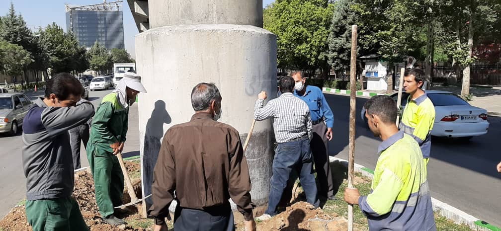 زیباسازی پایه&zwnj;های منوریل کرمانشاه