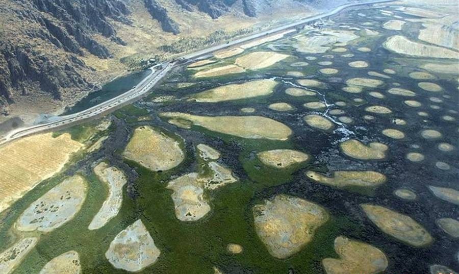 دوباره زندگی... &nbsp;