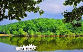 افزایش نسبی دما