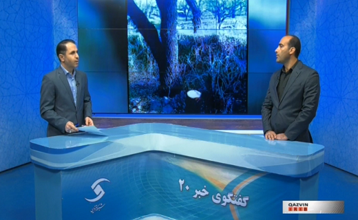 روایتی از بی‌مهری در باغستان قزوین 