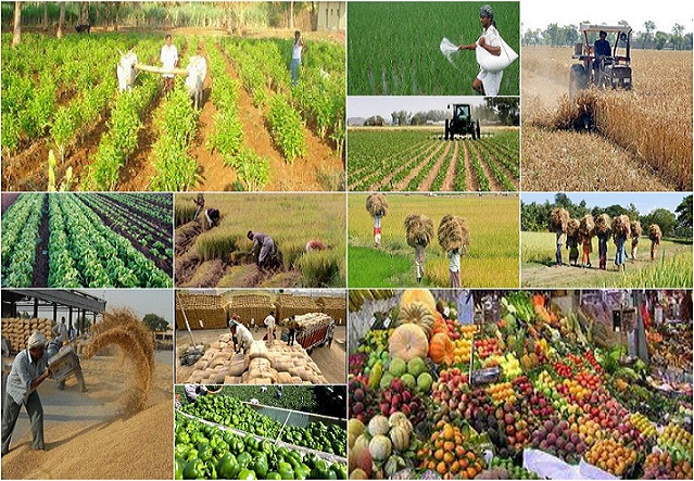 اجرای طرح های صنعتی کشاورزی در خوزستان