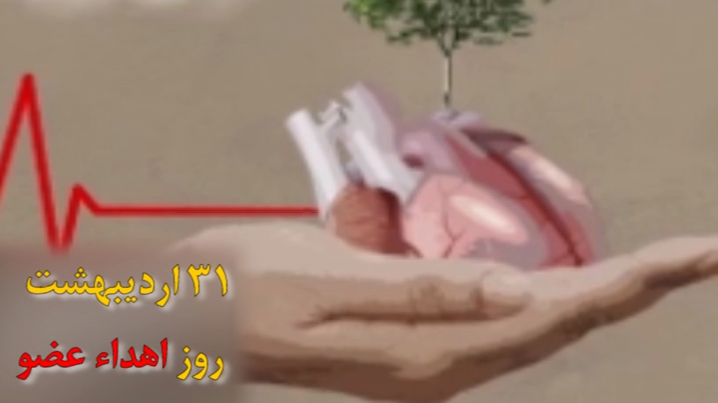 اهدای عضو؛اوج بخشندگی و ایثار ماندگار اهدای عضو؛اوج بخشندگی و ایثار ماندگار