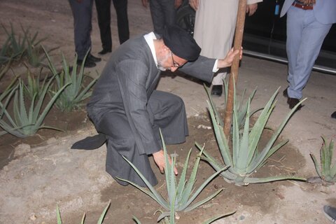 خاموشی
