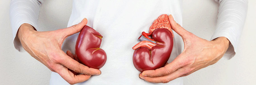 راهکار‌هایی برای داشتن کلیه سالم