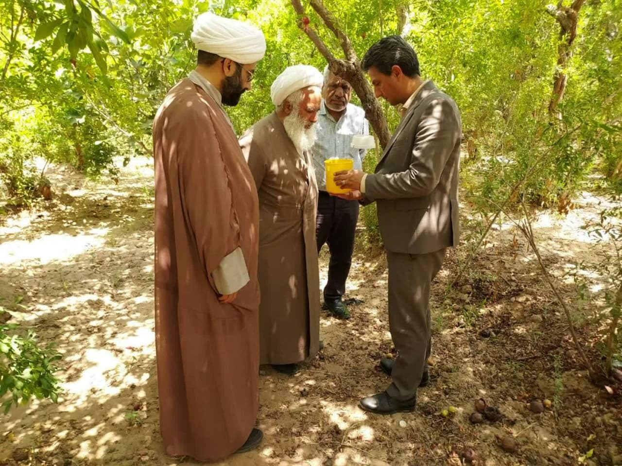 بهره گیری از تمام ظرفیت‌ها برای کنترل آفت مگس میوه مدیترانه