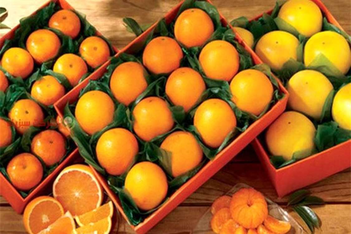 ایران، تولید کننده 6 میلیون تن مرکبات در سال