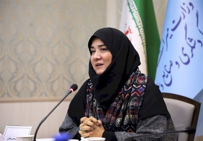 ***/ تلاش وزارت میراث فرهنگی بر تحقق قانون حمایت از هنرمندان و صنعتگران