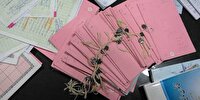 نقشه‌ برداری رایگان اسناد دفترچه‌ای در کرمان