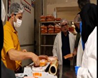 سرمایه‌گذاری ویژه برای توسعه کشتارگاه طیور در سمنان