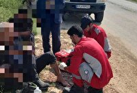 ۸ مصدوم بر اثر انحراف مینی‌بوس در محور دودانگه ساری