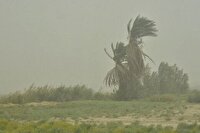 هشدار سطح زرد خیزش گرد و خاک در جنوب غرب خوزستان