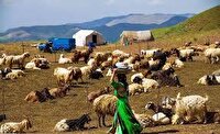 ۷۶ میلیارد ریال اعتبار بحران به آبرسانی عشایر تخصیص یافت