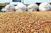 ثبت سفارش ذرت از فردا