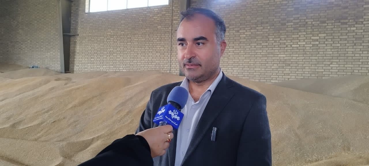 خرید تضمینی ۲۸۲ هزار تن گندم از زارعین آذربایجان‌غربی 