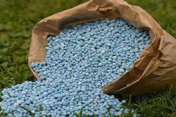 توزیع بیش از ۳۰ هزار تن کود کشاورزی در استان همدان؛ گام مؤثر در حمایت از تولید گندم و جو