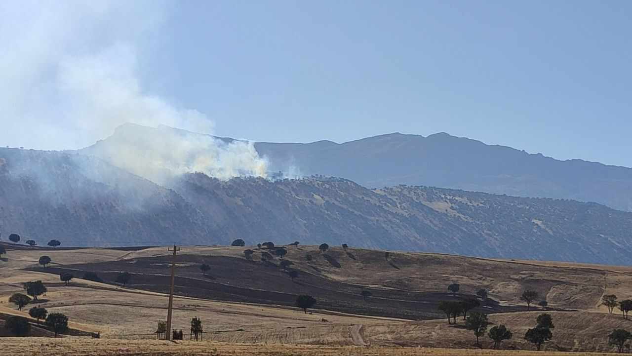 طبیعت دوستان بشتابند