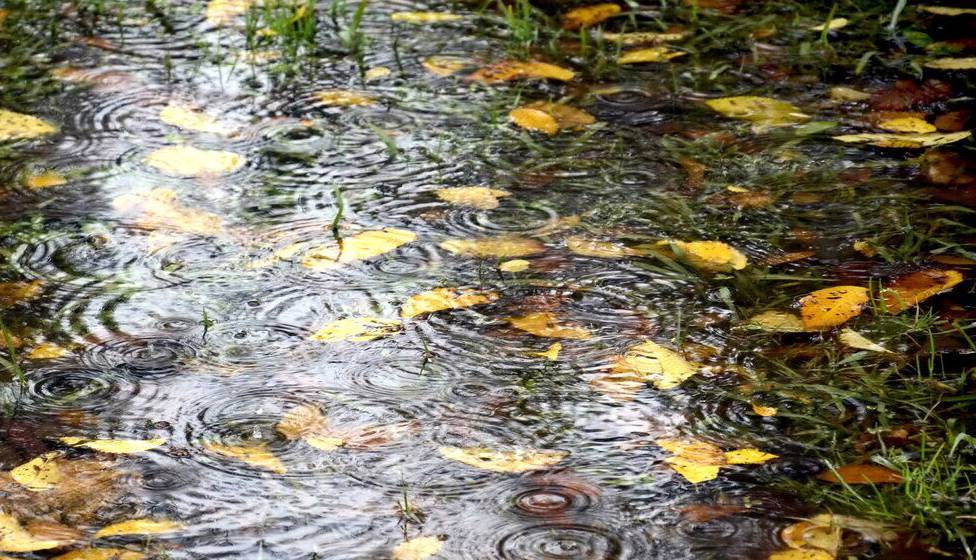 برف و باران، پاییز فارس را بدرقه کرد