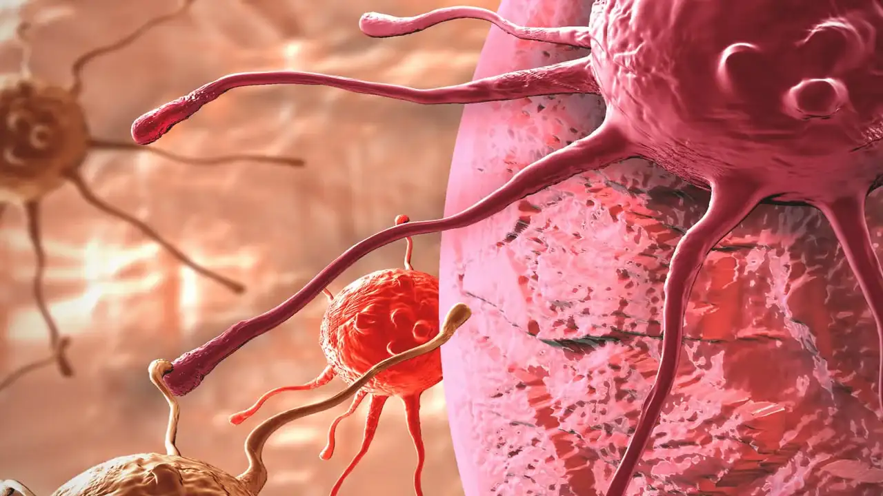 ///****علائم سرطان را جدی بگیرید